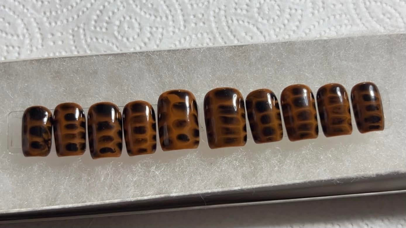 Brown Gator Short Set